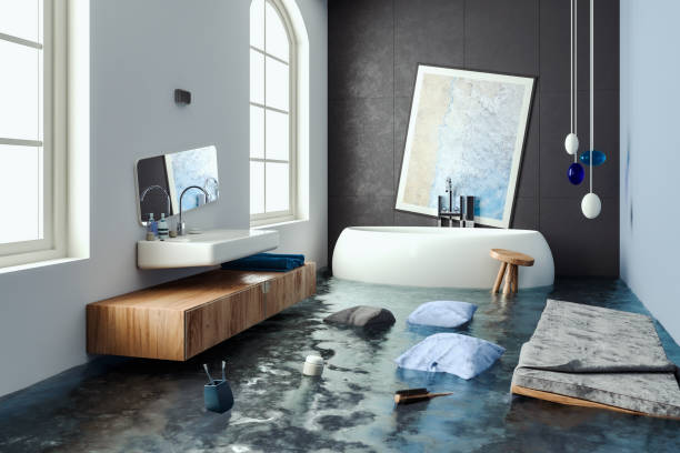 Best Professional water damage repair  in Dunellen, NJ