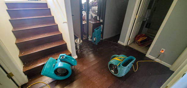 Best Flood restoration services  in Dunellen, NJ