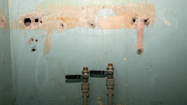 Best Emergency water extraction  in Dunellen, NJ