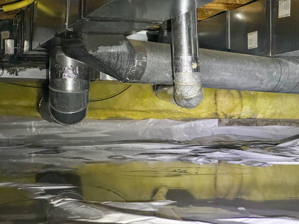 Best Local water damage restoration  in Dunellen, NJ